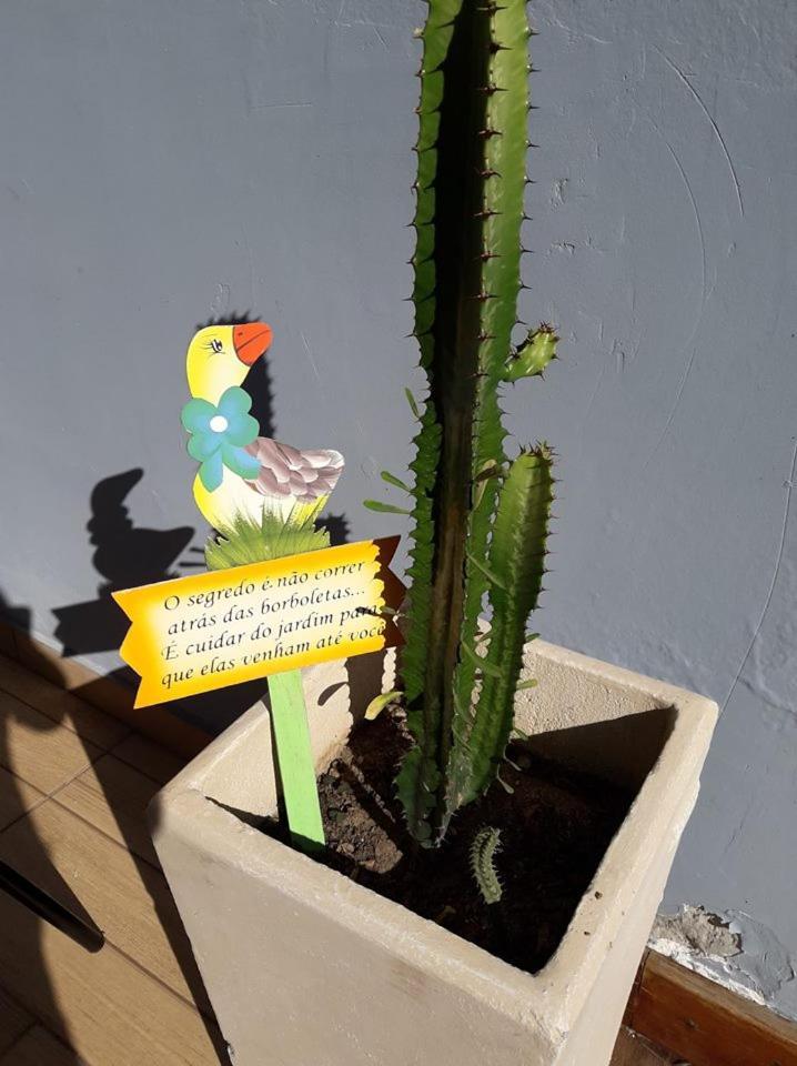 Aconchego de um Lar Hospedagem Domiciliar Cabo Frio Exterior foto